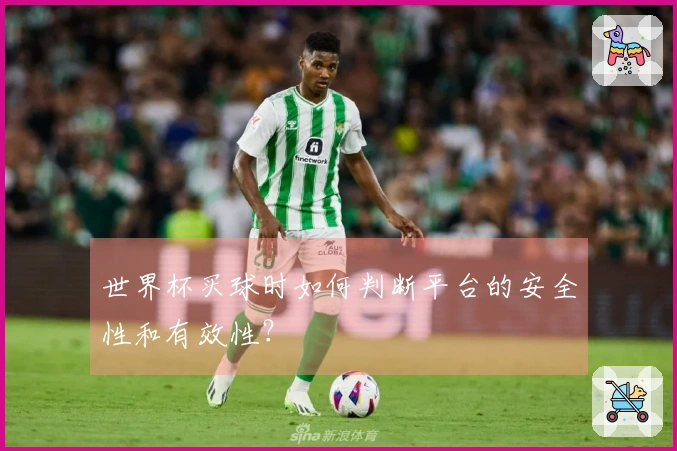 世界杯买球时如何判断平台的安全性和有效性？