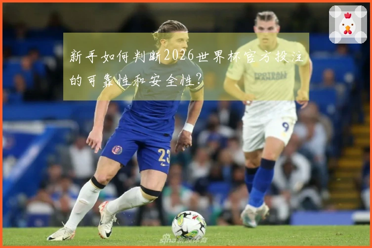 新手如何判断2026世界杯官方投注的可靠性和安全性？