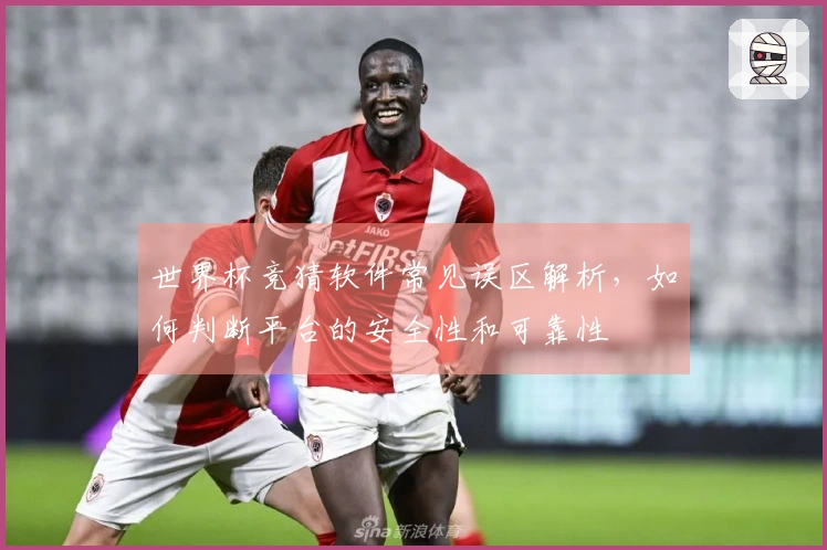 世界杯竞猜软件常见误区解析，如何判断平台的安全性和可靠性